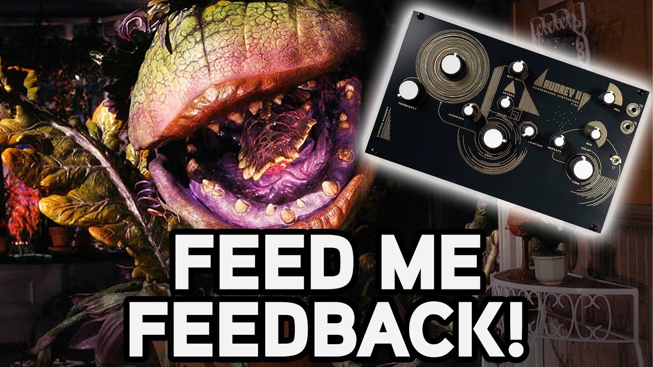 Video thumbnail: The Audrey II Demands You Feed it Feedback